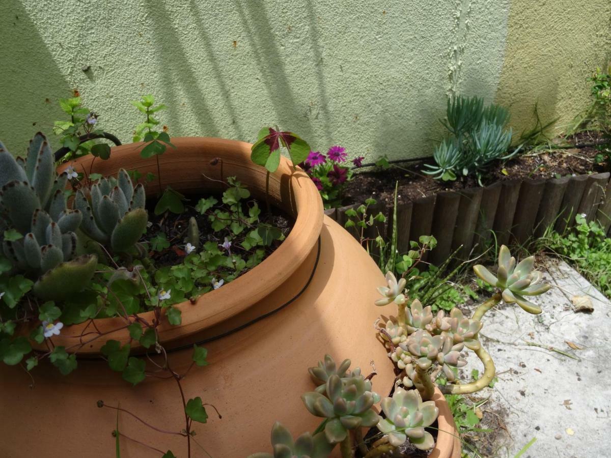 Jardin D'Olisipo - Centre Ville Lisboa Dış mekan fotoğraf